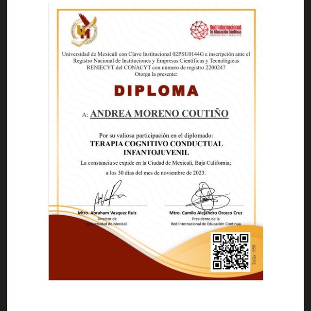 Ampliar imagen: certificate 11