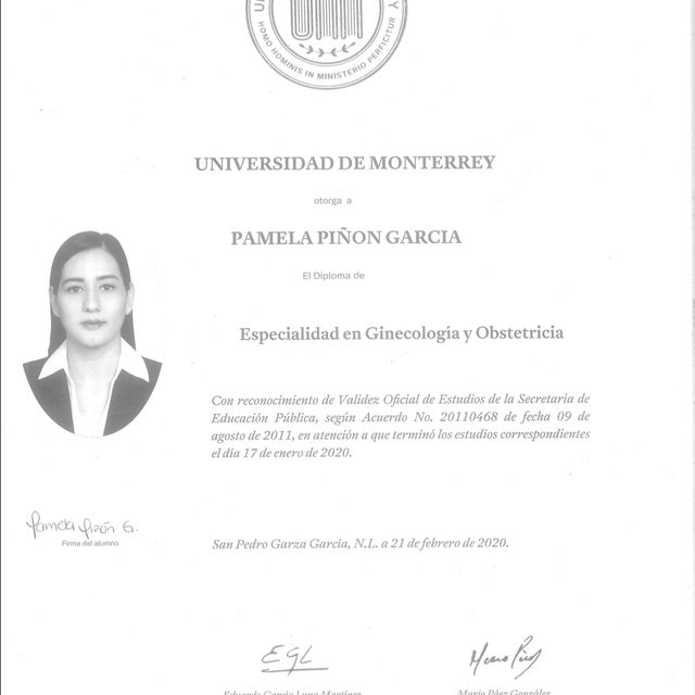 Ampliar imagen: certificate 1