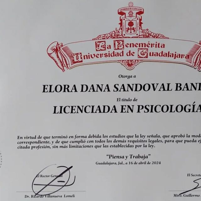 Ampliar imagen: certificate 4