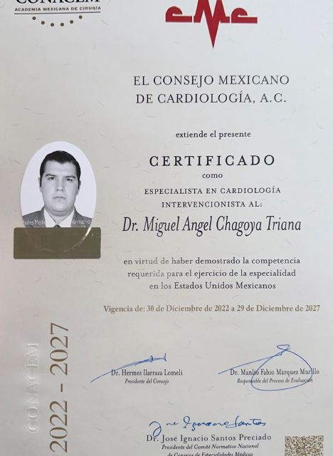 Ampliar imagen: certificate 8