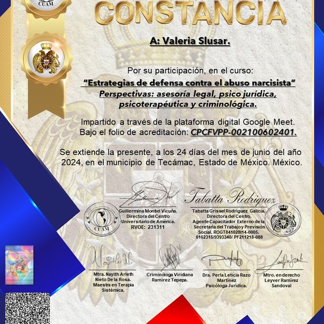 Ampliar imagen: certificate 1