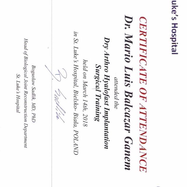 Ampliar imagen: certificate 2