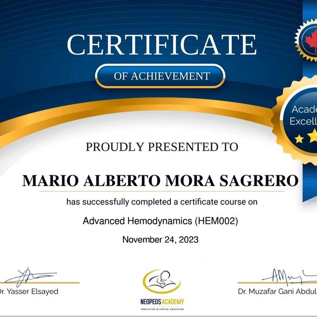 Ampliar imagen: certificate 8