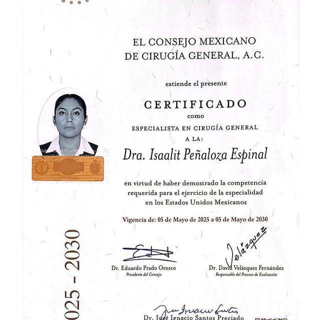 Ampliar imagen: certificate 1