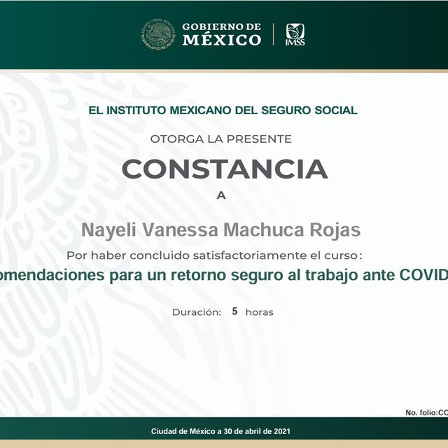 Ampliar imagen: certificate 9