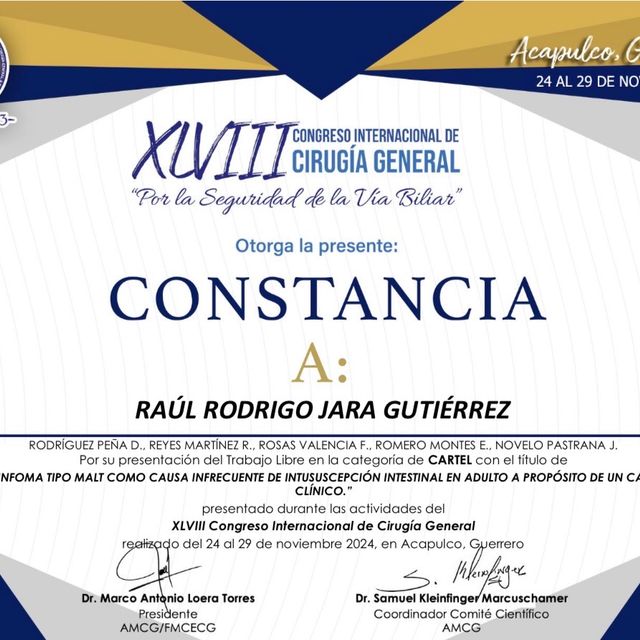 Ampliar imagen: certificate 6