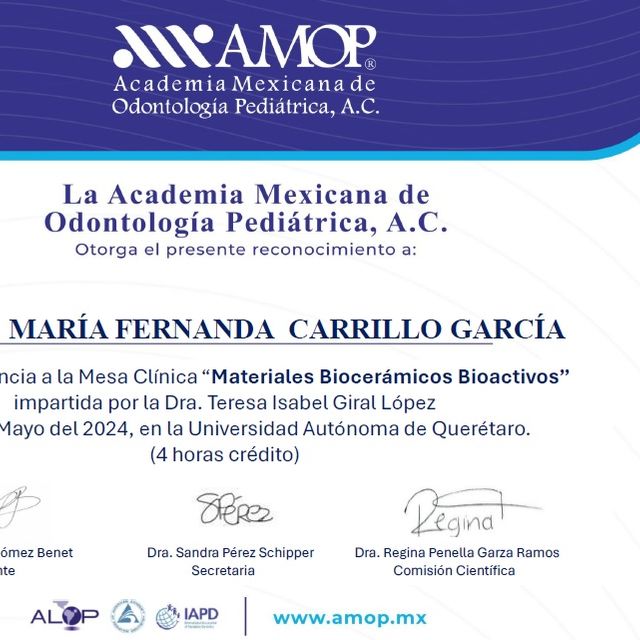 Ampliar imagen: certificate 8