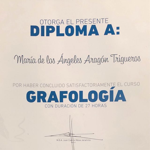 Ampliar imagen: certificate 8