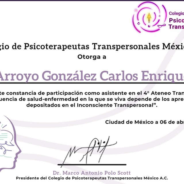 Ampliar imagen: certificate 6