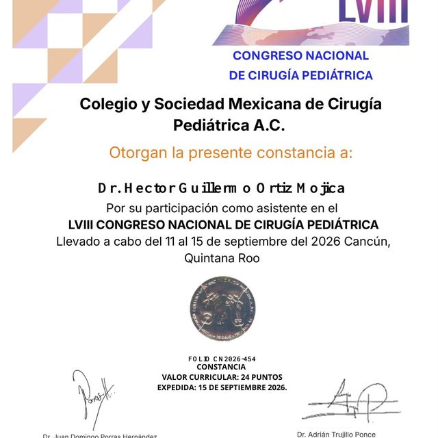 Ampliar imagen: certificate 8