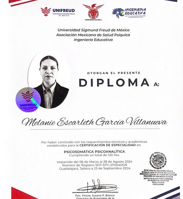 Ampliar imagen: certificate 2