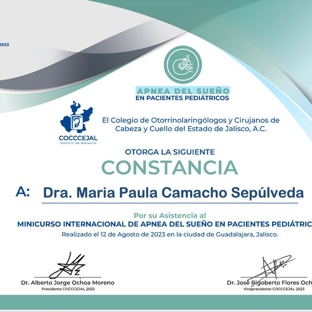 Ampliar imagen: certificate 10