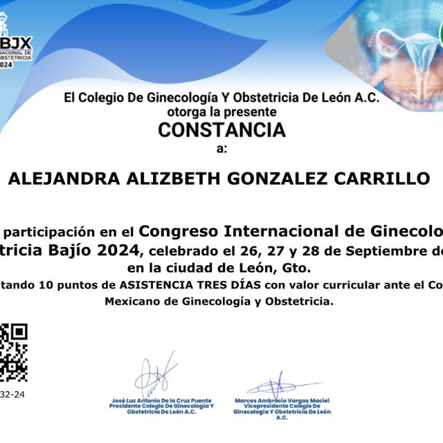 Ampliar imagen: certificate 3