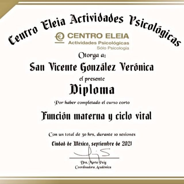 Ampliar imagen: certificate 3