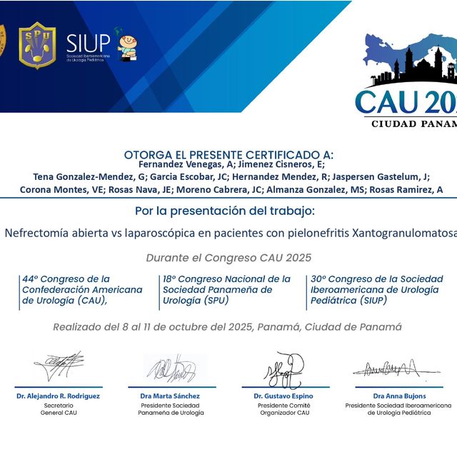 Ampliar imagen: certificate 5