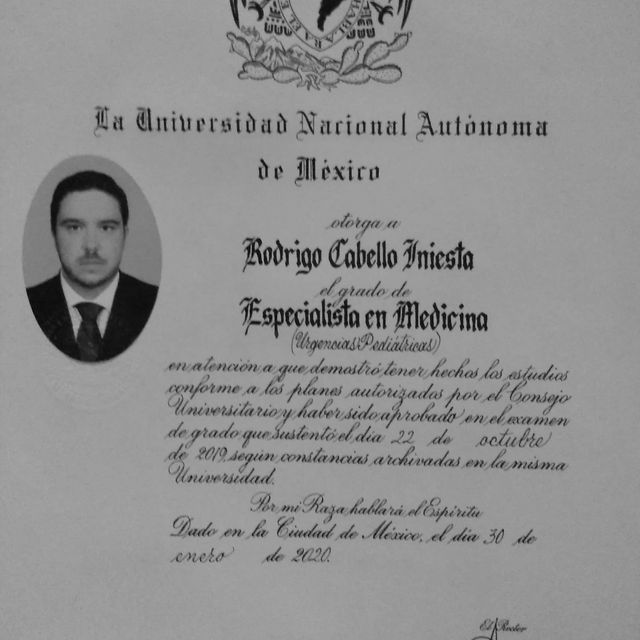 Ampliar imagen: certificate 1
