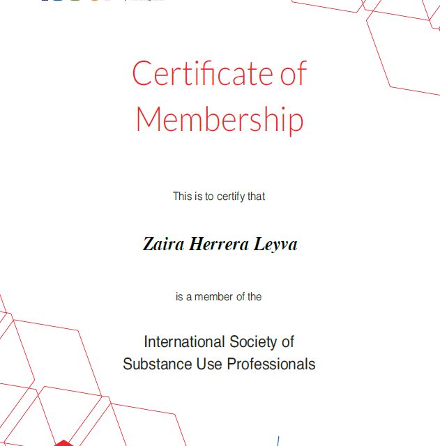 Ampliar imagen: certificate 5