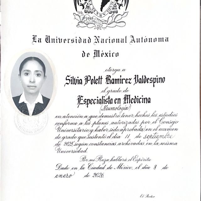 Ampliar imagen: certificate 2
