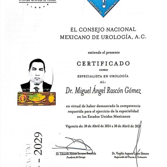 Ampliar imagen: certificate 3