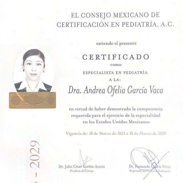 Ampliar imagen: certificate 1