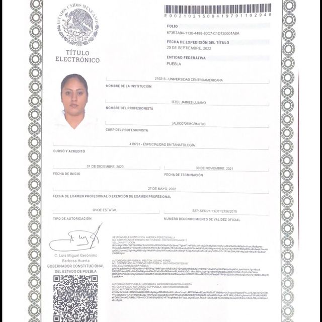 Ampliar imagen: certificate 2