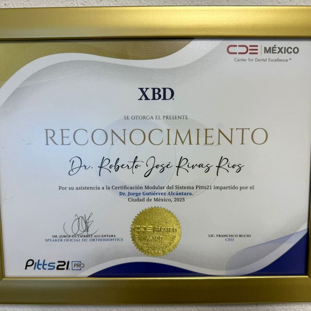 Ampliar imagen: certificate 3