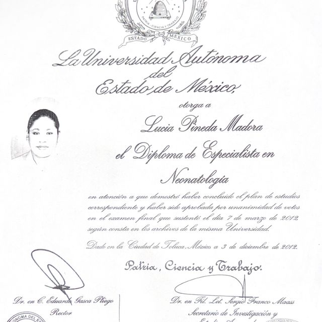 Ampliar imagen: certificate 1