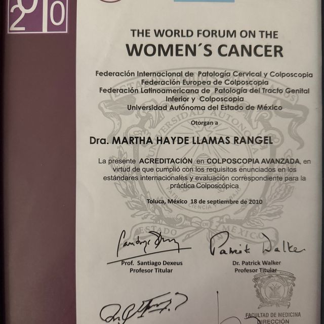 Ampliar imagen: certificate 6