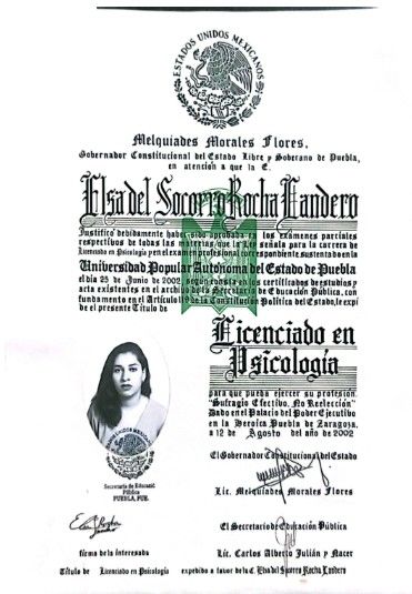Ampliar imagen: certificate 2