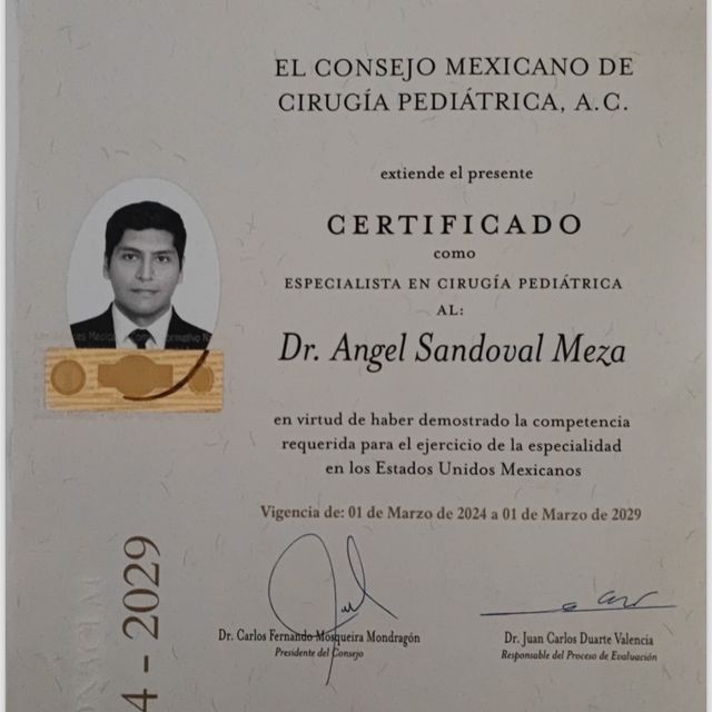 Ampliar imagen: certificate 2