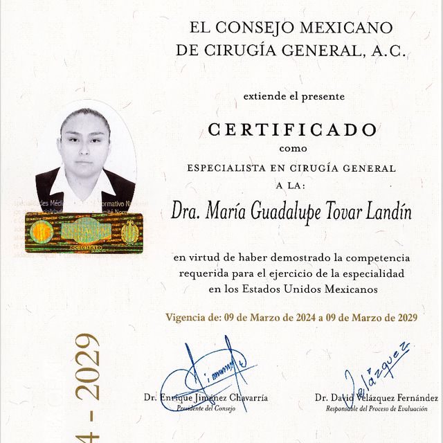 Ampliar imagen: certificate 1