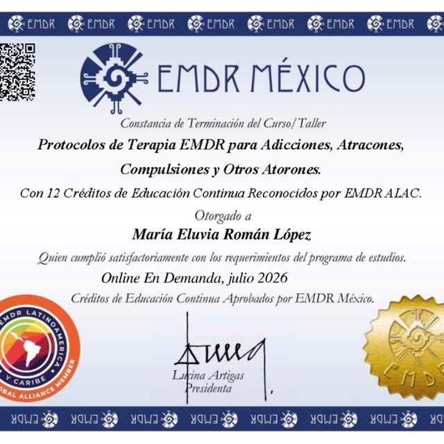 Ampliar imagen: certificate 8