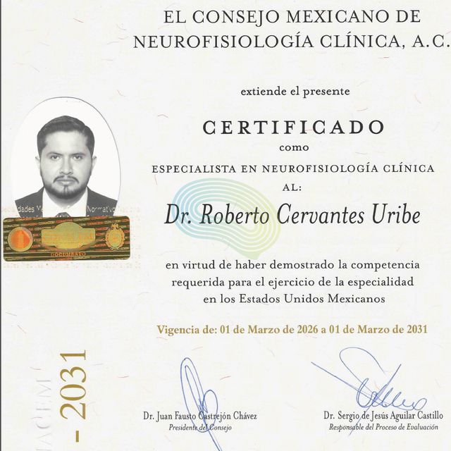 Ampliar imagen: certificate 4