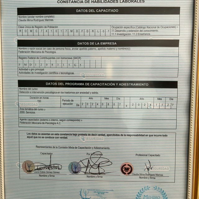 Ampliar imagen: certificate 7