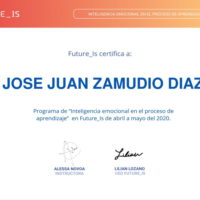 Ampliar imagen: certificate 9