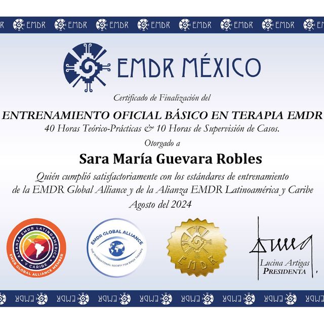 Ampliar imagen: certificate 2