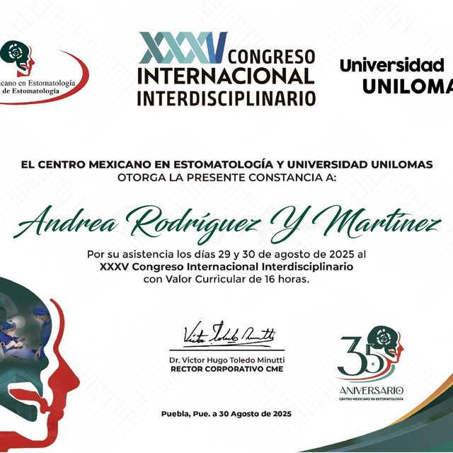 Ampliar imagen: certificate 4
