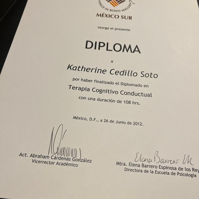 Ampliar imagen: certificate 18