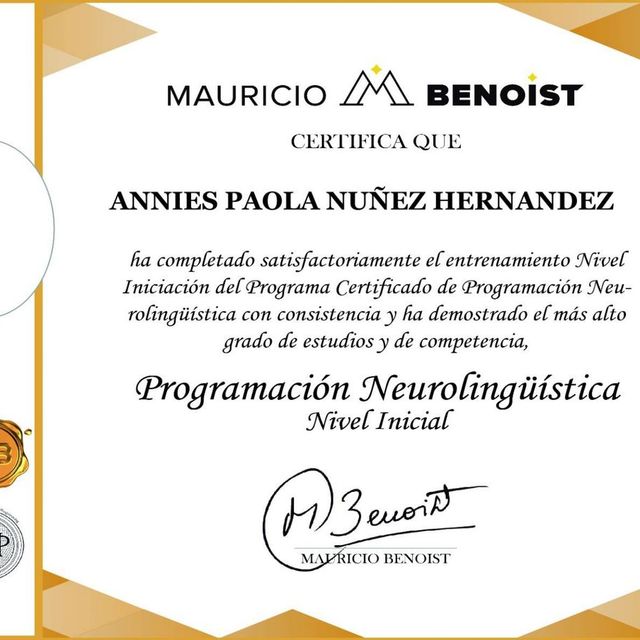 Ampliar imagen: certificate 5