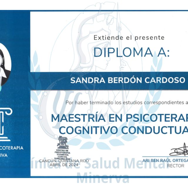 Ampliar imagen: certificate 3