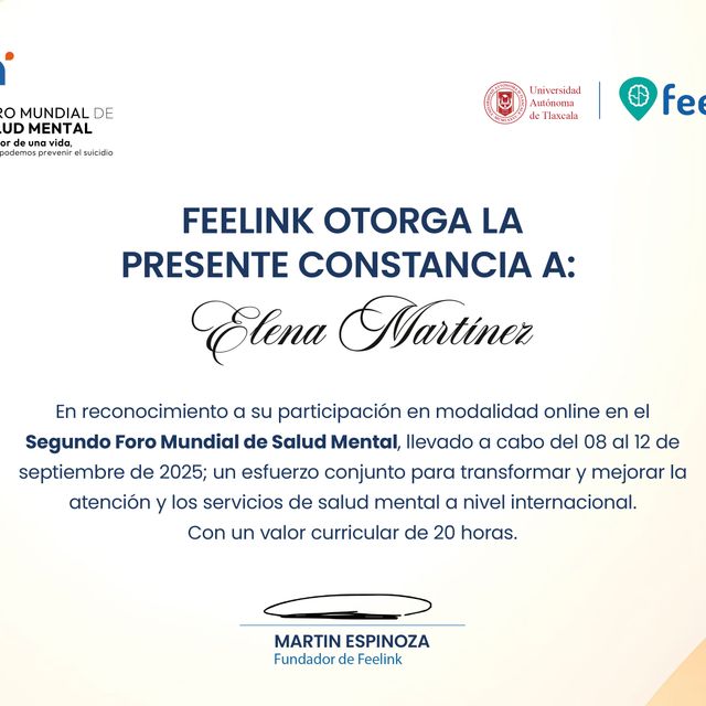 Ampliar imagen: certificate 15