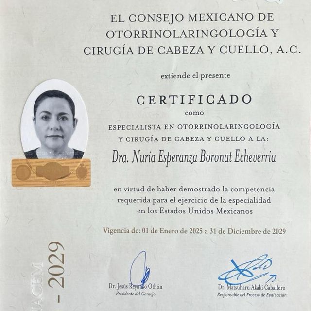 Ampliar imagen: certificate 4