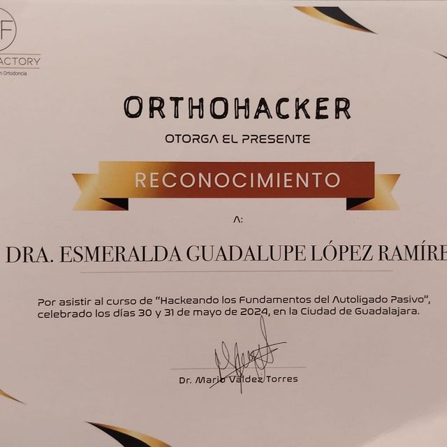 Ampliar imagen: certificate 3
