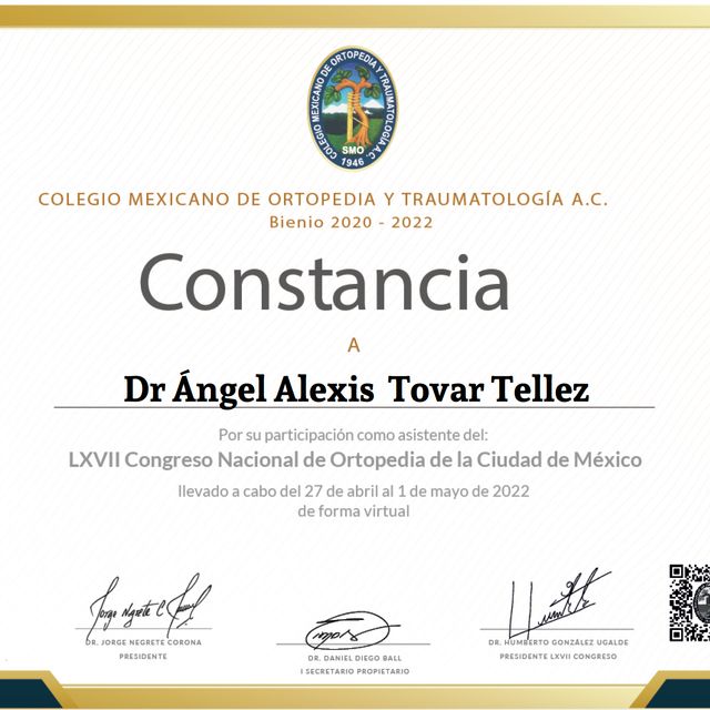 Ampliar imagen: certificate 11