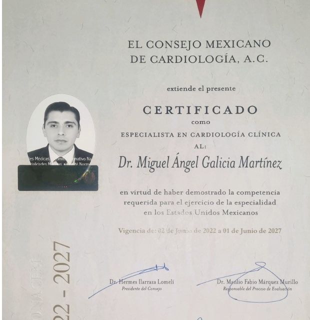 Ampliar imagen: certificate 3