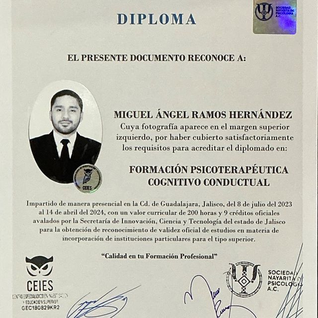 Ampliar imagen: certificate 1
