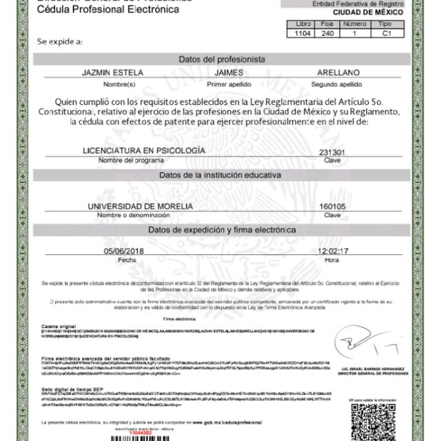 Ampliar imagen: certificate 2