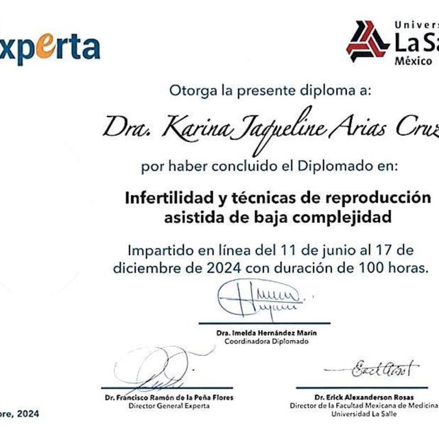 Ampliar imagen: certificate 2