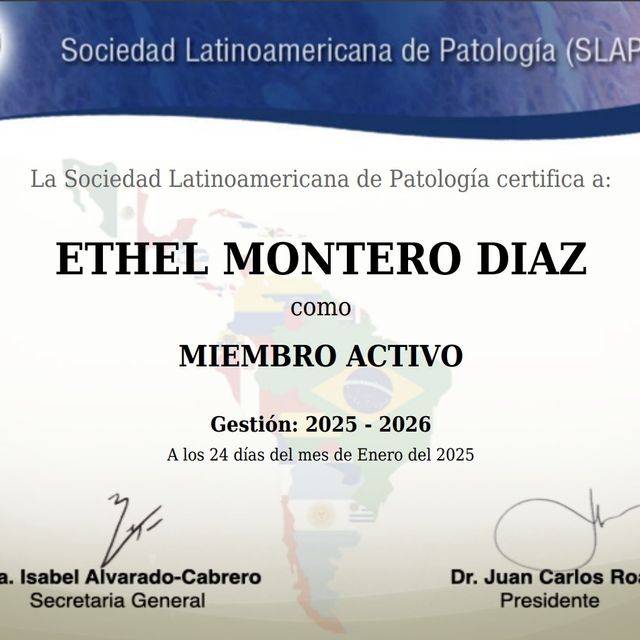 Ampliar imagen: certificate 4