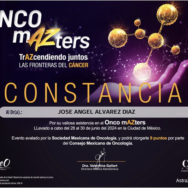 Ampliar imagen: certificate 2